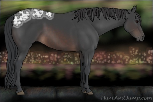 Horse Color:Brown Ice