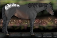 Horse Color:Brown Ice