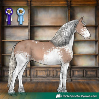 Horse Color:White Spotted Chestnut Mushroom Sabino 