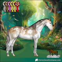 Horse Color:White Spotted Buckskin Splash Rabicano 