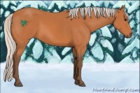 Horse Color:Silver Bay