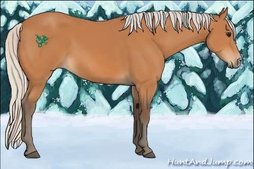 Horse Color:Silver Bay 