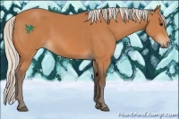 Horse Color:Silver Bay 