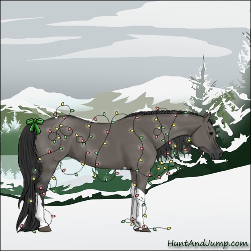 Horse Color:Grullo Tobiano 