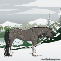 Horse Color:Grullo Tobiano 