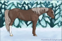 Horse Color:Silver Black 