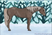 Horse Color:Silver Black 