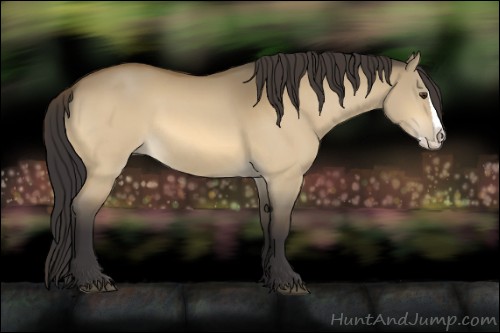 Horse Color:Buckskin Dun Splash 