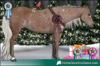 Horse Color:Silver Black 