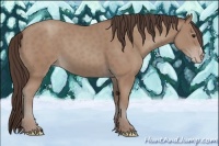 Horse Color:Classic Champagne 