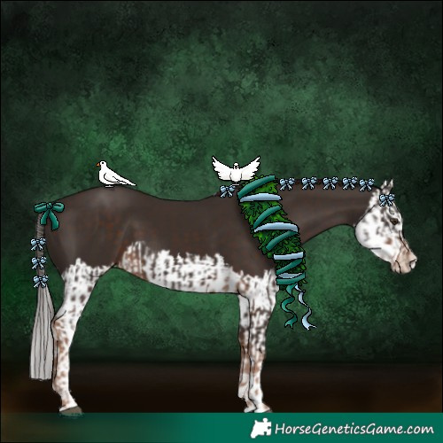 Horse Color:Liver Chestnut  and Liver Chestnut Splash 