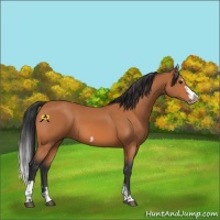 Horse Color:Bay Splash Frame and Bay Splash Frame