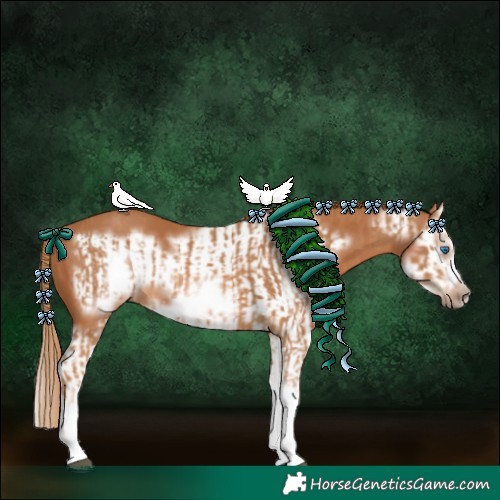 Horse Color:Chestnut Splash Frame  and Chestnut Splash Frame 