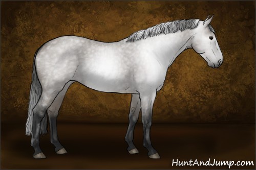 Horse Color:Gray Grullo Roan 