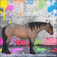 Horse Color:Bay Roan 