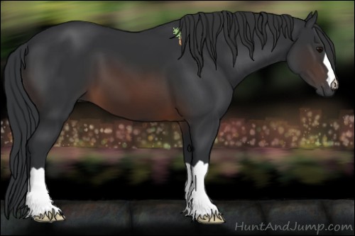Horse Color:Brown 
