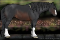 Horse Color:Brown 