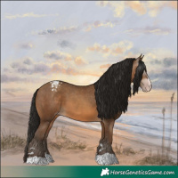 Horse Color:Gray Amber Champagne Varnish 