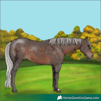 Horse Color:Silver Brown Ice 