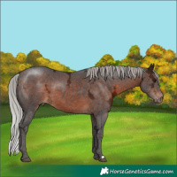 Horse Color:Silver Brown Ice 