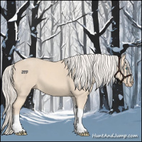 Horse Color:Cremello Tobiano 