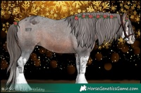 Horse Color:Bay Sabino Splash Appaloosa  and Bay Sabino Splash Appaloosa 