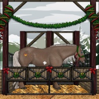 Horse Color:Silver Black Frame