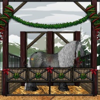 Horse Color:Void Silver Black Chinchilla Tobiano