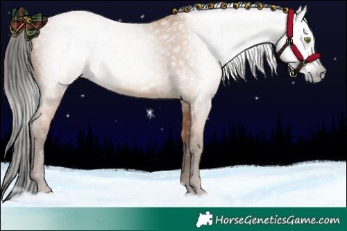 Horse Color:Gray Amber Champagne
