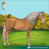 Horse Color:Gray Gold Cream Champagne Mushroom 