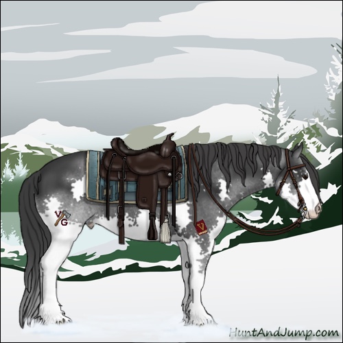 Horse Color:Black Splash 