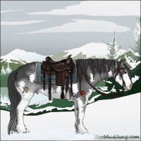 Horse Color:Black Splash 