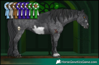 Horse Color:Black Frame 