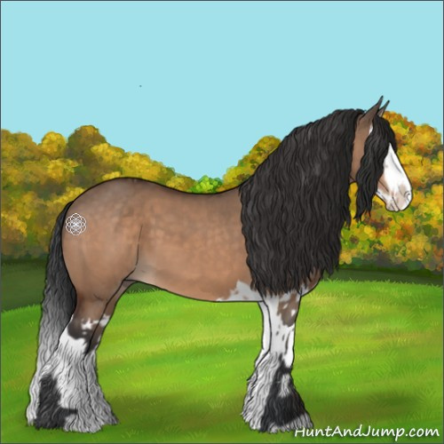Horse Color:Brown Dun  and Brown Dun Splash 