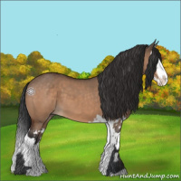 Horse Color:Brown Dun  and Brown Dun Splash 