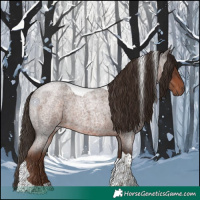 Horse Color:Liver Red Roan Tobiano