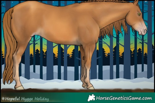 Horse Color:Gray Gold Champagne
