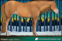 Horse Color:Gray Gold Champagne 
