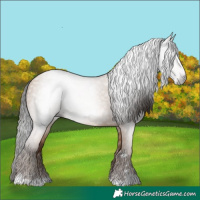 Horse Color:Gray Amber Champagne 