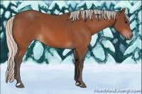 Horse Color:Silver Bay