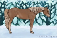 Horse Color:Chestnut 