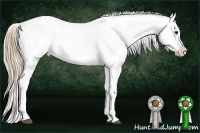 Horse Color:Chocolate Palomino Roan Snowflake Varnish