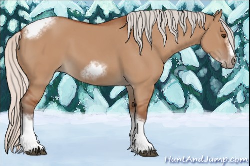 Horse Color:Silver Bay Dun Sabino Tobiano Frame Rabicano 