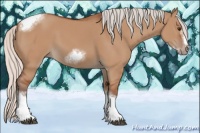 Horse Color:Silver Bay Dun Sabino Tobiano Frame Rabicano 