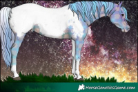 Horse Color:Watercolor Plaid  White Spotted Brown Snowcap Rabicano 
