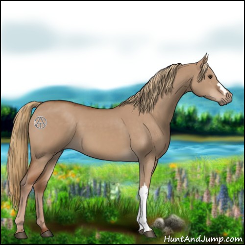 Horse Color:Red Dun 