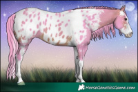 Horse Color:Watercolor Brown Sabino Blanket 