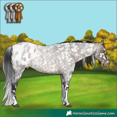 Horse Color:Brown Roan Dun Tobiano Blanket