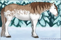 Horse Color:Liver Red Dun Splash  and Red Dun Splash 