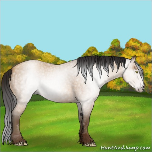 Horse Color:Gray Amber Champagne Roan 